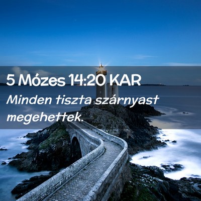 Picture 02 - 5 Mózes 14:20 KAR - Minden tiszta szárnyast - Bible Verse Picture