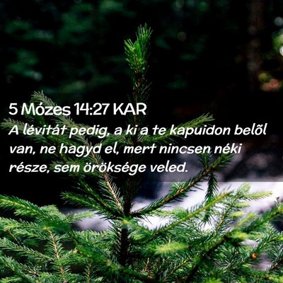 Picture 02 - 5 Mózes 14:27 KAR - A lévitát pedig, a ki a te kapuidon belõl van, - Bible Verse Picture
