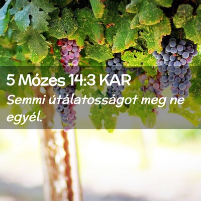 Picture 02 - 5 Mózes 14:3 KAR - Semmi útálatosságot meg ne - Bible Verse Picture