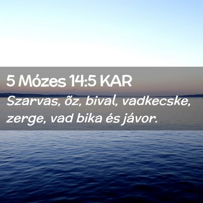 Picture 02 - 5 Mózes 14:5 KAR - Szarvas, õz, bival, vadkecske, zerge, vad bika - Bible Verse Picture