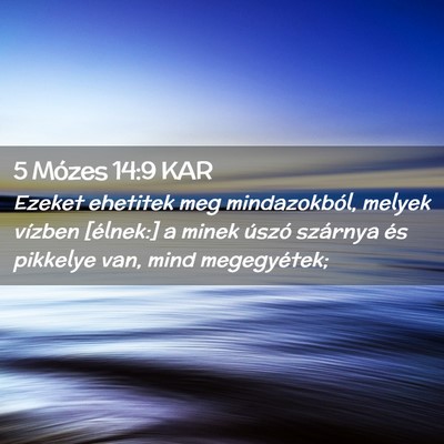 Picture 02 - 5 Mózes 14:9 KAR - Ezeket ehetitek meg mindazokból, melyek vízben - Bible Verse Picture