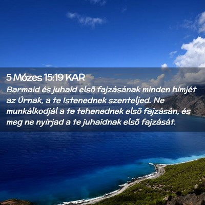 Picture 02 - 5 Mózes 15:19 KAR - Barmaid és juhaid elsõ fajzásának minden - Bible Verse Picture