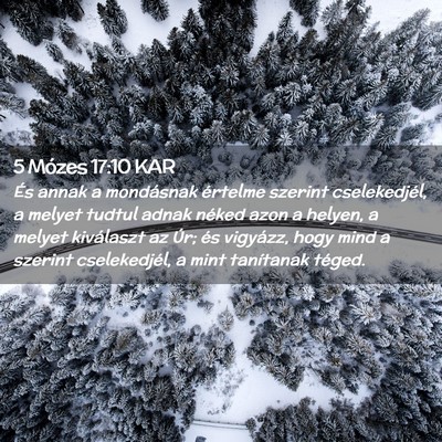 Picture 02 - 5 Mózes 17:10 KAR - És annak a mondásnak értelme szerint - Bible Verse Picture