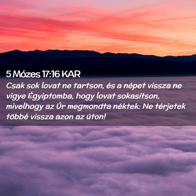 Picture 02 - 5 Mózes 17:16 KAR - Csak sok lovat ne tartson, és a népet vissza ne - Bible Verse Picture