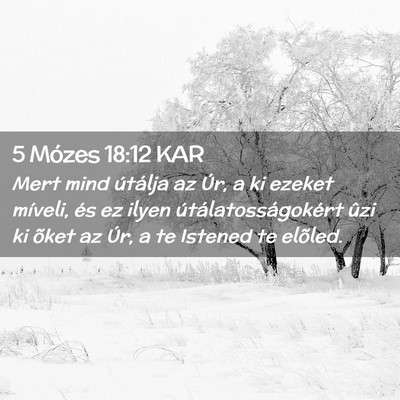 Picture 02 - 5 Mózes 18:12 KAR - Mert mind útálja az Úr, a ki ezeket míveli, - Bible Verse Picture