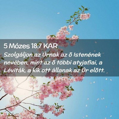 Picture 02 - 5 Mózes 18:7 KAR - Szolgáljon az Úrnak az õ Istenének nevében, - Bible Verse Picture