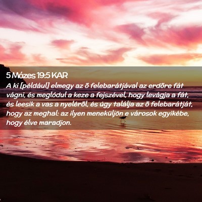 Picture 02 - 5 Mózes 19:5 KAR - A ki [például] elmegy az õ felebarátjával az - Bible Verse Picture