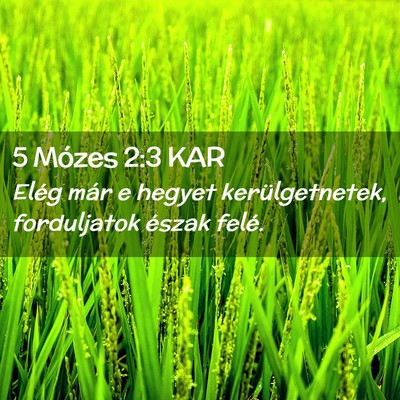 Picture 02 - 5 Mózes 2:3 KAR - Elég már e hegyet kerülgetnetek, forduljatok - Bible Verse Picture