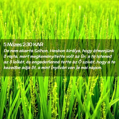 Picture 02 - 5 Mózes 2:30 KAR - De nem akarta Szihon, Hesbon királya, hogy - Bible Verse Picture
