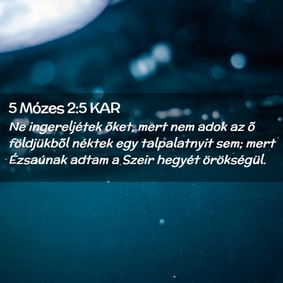 Picture 02 - 5 Mózes 2:5 KAR - Ne ingereljétek õket, mert nem adok az õ - Bible Verse Picture