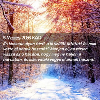 Picture 02 - 5 Mózes 20:6 KAR - És kicsoda olyan férfi, a ki szõlõt ültetett - Bible Verse Picture