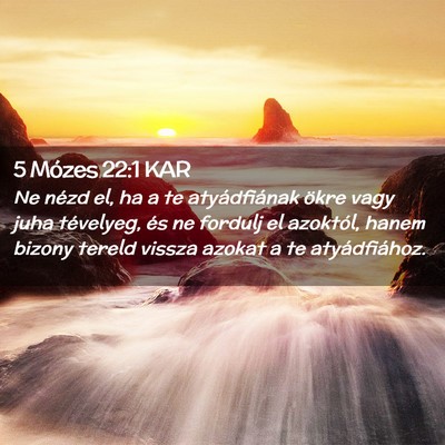 Picture 02 - 5 Mózes 22:1 KAR - Ne nézd el, ha a te atyádfiának ökre vagy - Bible Verse Picture