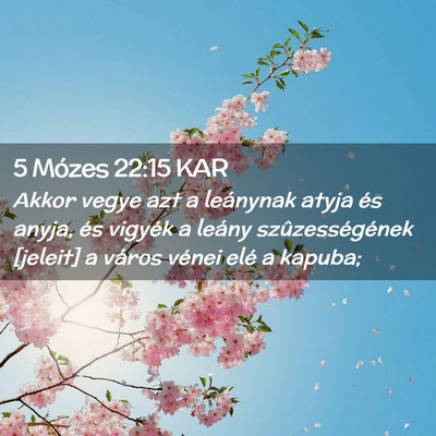 Picture 02 - 5 Mózes 22:15 KAR - Akkor vegye azt a leánynak atyja és anyja, és - Bible Verse Picture