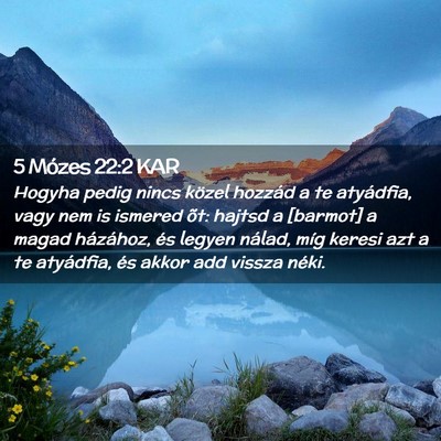 Picture 02 - 5 Mózes 22:2 KAR - Hogyha pedig nincs közel hozzád a te atyádfia, - Bible Verse Picture