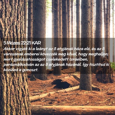 Picture 02 - 5 Mózes 22:21 KAR - Akkor vigyék ki a leányt az õ atyjának háza - Bible Verse Picture