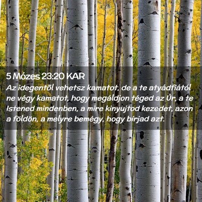 Picture 02 - 5 Mózes 23:20 KAR - Az idegentõl vehetsz kamatot, de a te - Bible Verse Picture
