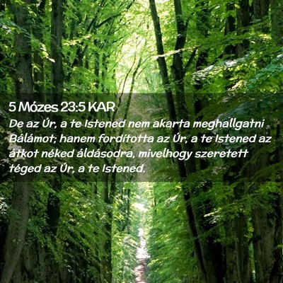 Picture 02 - 5 Mózes 23:5 KAR - De az Úr, a te Istened nem akarta meghallgatni - Bible Verse Picture