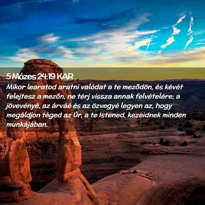 Picture 02 - 5 Mózes 24:19 KAR - Mikor learatod aratni valódat a te mezõdön, - Bible Verse Picture