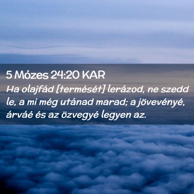 Picture 02 - 5 Mózes 24:20 KAR - Ha olajfád [termését] lerázod, ne szedd le, a - Bible Verse Picture
