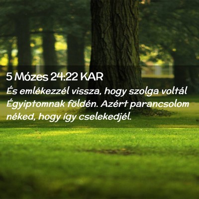 Picture 02 - 5 Mózes 24:22 KAR - És emlékezzél vissza, hogy szolga voltál - Bible Verse Picture