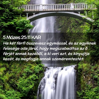 Picture 02 - 5 Mózes 25:11 KAR - Ha két férfi összevesz egymással, és az - Bible Verse Picture