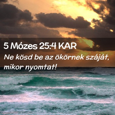 Picture 02 - 5 Mózes 25:4 KAR - Ne kösd be az ökörnek száját, mikor - Bible Verse Picture
