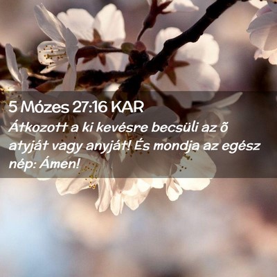 Picture 02 - 5 Mózes 27:16 KAR - Átkozott a ki kevésre becsüli az õ atyját - Bible Verse Picture