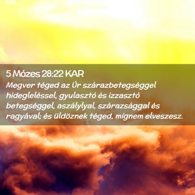 Picture 02 - 5 Mózes 28:22 KAR - Megver téged az Úr szárazbetegséggel - Bible Verse Picture