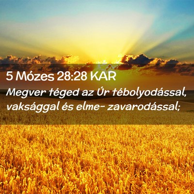 Picture 02 - 5 Mózes 28:28 KAR - Megver téged az Úr tébolyodással, vaksággal - Bible Verse Picture