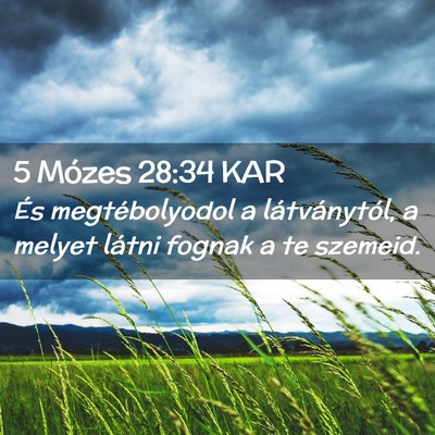 Picture 02 - 5 Mózes 28:34 KAR - És megtébolyodol a látványtól, a melyet - Bible Verse Picture