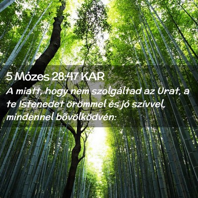 Picture 02 - 5 Mózes 28:47 KAR - A miatt, hogy nem szolgáltad az Urat, a te - Bible Verse Picture