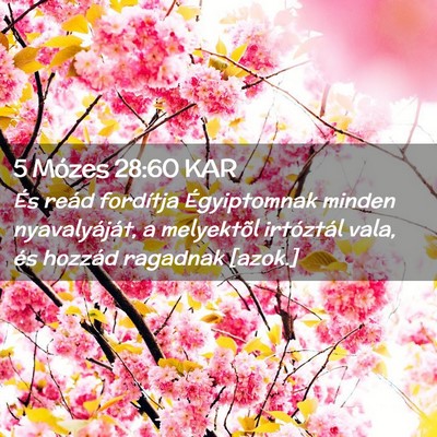 Picture 02 - 5 Mózes 28:60 KAR - És reád fordítja Égyiptomnak minden - Bible Verse Picture