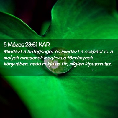 Picture 02 - 5 Mózes 28:61 KAR - Mindazt a betegséget és mindazt a csapást is, - Bible Verse Picture