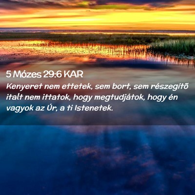 Picture 02 - 5 Mózes 29:6 KAR - Kenyeret nem ettetek, sem bort, sem részegítõ - Bible Verse Picture