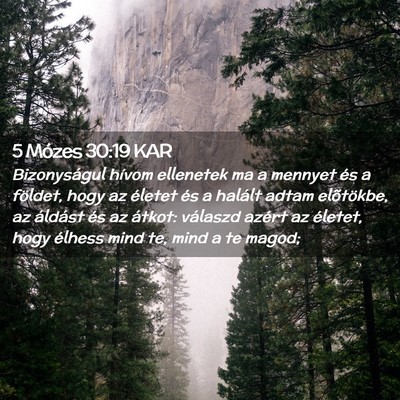 Picture 02 - 5 Mózes 30:19 KAR - Bizonyságul hívom ellenetek ma a mennyet és a - Bible Verse Picture