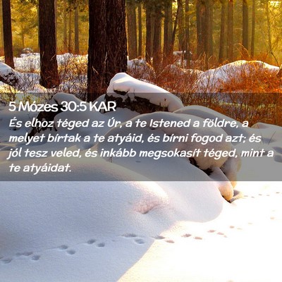 Picture 02 - 5 Mózes 30:5 KAR - És elhoz téged az Úr, a te Istened a földre, - Bible Verse Picture