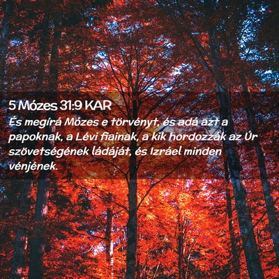 Picture 02 - 5 Mózes 31:9 KAR - És megírá Mózes e törvényt, és adá azt a - Bible Verse Picture