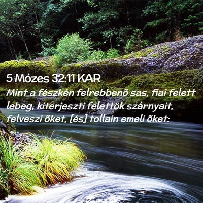 Picture 02 - 5 Mózes 32:11 KAR - Mint a fészkén felrebbenõ sas, fiai felett - Bible Verse Picture