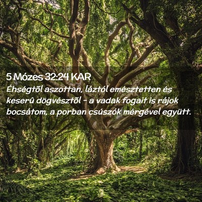 Picture 02 - 5 Mózes 32:24 KAR - Éhségtõl aszottan, láztól emésztetten és - Bible Verse Picture