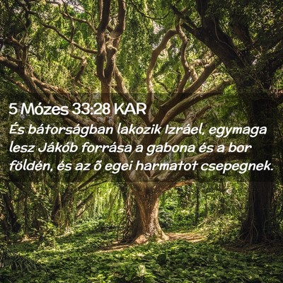 Picture 02 - 5 Mózes 33:28 KAR - És bátorságban lakozik Izráel, egymaga lesz - Bible Verse Picture