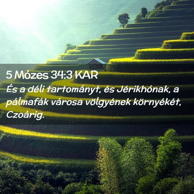 Picture 02 - 5 Mózes 34:3 KAR - És a déli tartományt, és Jérikhónak, a - Bible Verse Picture