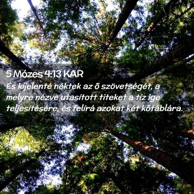 Picture 02 - 5 Mózes 4:13 KAR - És kijelenté néktek az õ szövetségét, a - Bible Verse Picture
