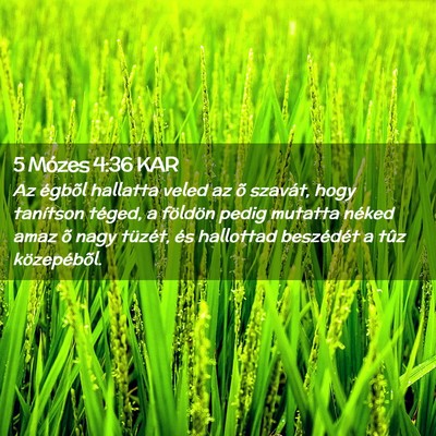 Picture 02 - 5 Mózes 4:36 KAR - Az égbõl hallatta veled az õ szavát, hogy - Bible Verse Picture
