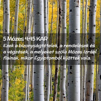 Picture 02 - 5 Mózes 4:45 KAR - Ezek a bizonyságtételek, a rendelések és a - Bible Verse Picture