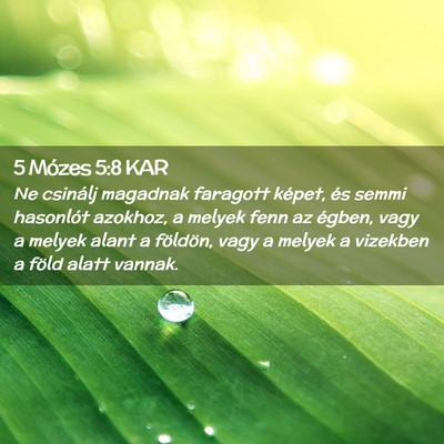 Picture 02 - 5 Mózes 5:8 KAR - Ne csinálj magadnak faragott képet, és semmi - Bible Verse Picture