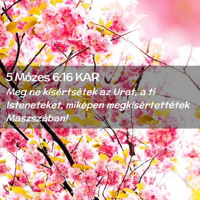 Picture 02 - 5 Mózes 6:16 KAR - Meg ne kísértsétek az Urat, a ti Isteneteket, - Bible Verse Picture