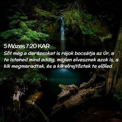 Picture 02 - 5 Mózes 7:20 KAR - Sõt még a darázsokat is rájok bocsátja az - Bible Verse Picture