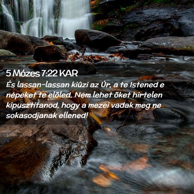 Picture 02 - 5 Mózes 7:22 KAR - És lassan-lassan kiûzi az Úr, a te Istened e - Bible Verse Picture
