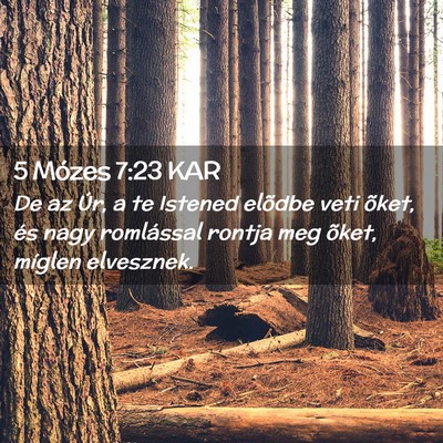 Picture 02 - 5 Mózes 7:23 KAR - De az Úr, a te Istened elõdbe veti õket, és - Bible Verse Picture