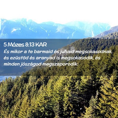 Picture 02 - 5 Mózes 8:13 KAR - És mikor a te barmaid és juhaid megsokasodnak, - Bible Verse Picture